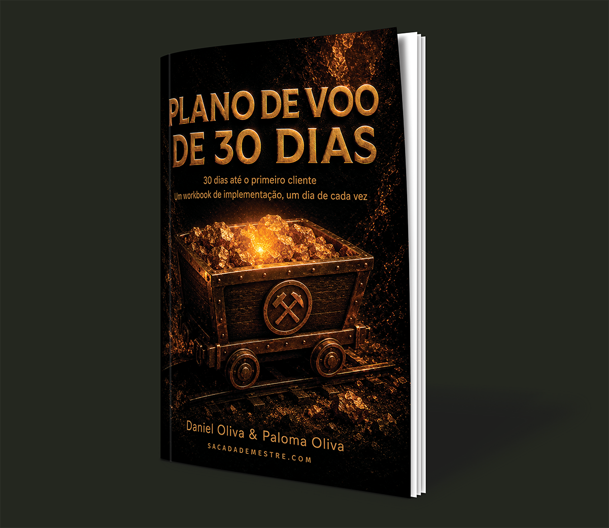 Capa: Plano de Voo de 30 Dias